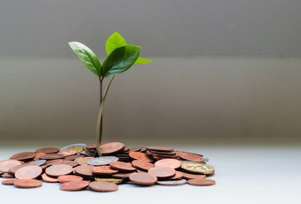 small plant growing from pile of coins