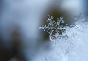 close up of snow flake